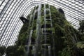 Indoor Waterfall, Cloud Forest Dome, Garden by the bay, Singapore
