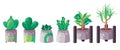Indor plant in pot group of gardening green set of various plant