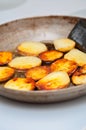 Induction cooking by frying boiled potatoes in olive oil on a French mineral frying pan in a Finnish kitchen Royalty Free Stock Photo