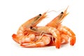 Indulge in the Close-Up View of Deliciously Prepared Shrimp, Glistening and Tempting, on a White Background. created with