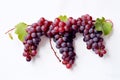 Deliciously Juicy: Blue Grape Cluster on a Clean White Background