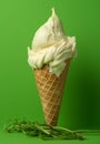 Indulge in the Unexpected: Garlic Ice Cream Cone with a Savory Twist!