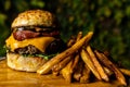 Burger and french fies Royalty Free Stock Photo