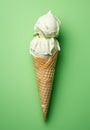 Indulge in the Unexpected: Savory Garlic Ice Cream Cone with a Twist of Garlic on Top!