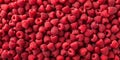 Background of Many Fresh Red Ripe Raspberries: Top View, Close-up Royalty Free Stock Photo