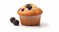 Irresistible Delight - Delectable Muffin Tempting Cupcake With Berry