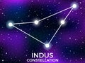 Indus constellation. Starry night sky. Cluster of stars and galaxies. Deep space. Vector