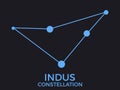 Indus constellation. Stars in the night sky. Cluster of stars and galaxies. Constellation of blue on a black background. Vector