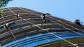 Industrial alpinists cleaning skyscraper