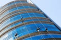 Industrial alpinists cleaning skyscraper