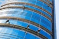 Industrial alpinists cleaning skyscraper