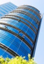 Industrial alpinists cleaning skyscraper