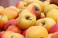 Industrial apples Royalty Free Stock Photo