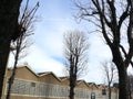 Industrial archeology buildings in the city of Busto Arsizio. Facade of an old factory with glass-pane windows and bare trees