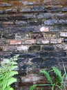 Industrial background. Empty grunge urban street with brick wall. With green leaves. Potrait Royalty Free Stock Photo