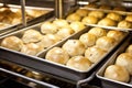 industrial baking tins full of unbaked bread rolls