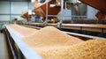 Industrial belt conveyor moving pellets, pet food industry