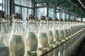 Industrial bottling process for white liquid, resembling milk, on a production line