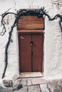 Industrial Charm: Overgrown Branch and Roll-up Door