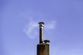 Industrial chimney smoke outlet