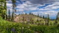 Industrial Clear Cut Logging in the Shuswap Highlands of British Columbia Royalty Free Stock Photo