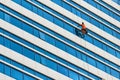 Industrial climber wash the windows of skyscraper.