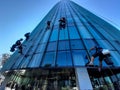 Industrial climbers - windows washers Royalty Free Stock Photo