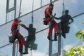 Industrial climbers - windows washers Royalty Free Stock Photo