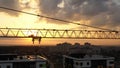 Industrial construction cranes and building silhouettes over sunset background and sunrise