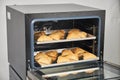 Industrial convection oven for catering. Professional kitchen equipment