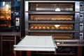 Industrial convection oven with cooked bakery products for catering. Professional kitchen equipment Royalty Free Stock Photo