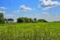 Industrial cultivation of soy in the field