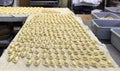Industrial dumplings production before cooking.