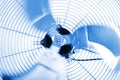 Industrial Fan Royalty Free Stock Photo
