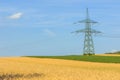 Industrial farmland before harvest Royalty Free Stock Photo