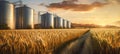 Industrial field sky plant nature storage rural wheat silo grain farming agricultural Royalty Free Stock Photo