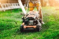 Industrial gardener working with lawnmower and cutting grass in the garden and backyard