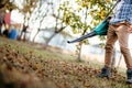 industrial gardner using electric leaf blower in the garden Royalty Free Stock Photo