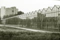 Industrial glass greenhouses in the city of Minsk in the afternoon Royalty Free Stock Photo