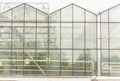 Industrial glass greenhouses in the city of Minsk in the afternoon Royalty Free Stock Photo