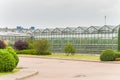 Industrial glass greenhouses in the city of Minsk in the afternoon Royalty Free Stock Photo