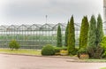 Industrial glass greenhouses in the city of Minsk in the afternoon Royalty Free Stock Photo