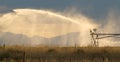 Industrial Grade Field Sprinkler Irrigation Spraying Crop Field in Colorado