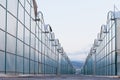 Industrial greenhouse endless glass window row