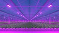 Industrial greenhouse with purple LED light. Hydroponic indoor vegetable plant factory. Green salad farm. 3D render