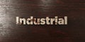 Industrial - grungy wooden headline on Maple - 3D rendered royalty free stock image