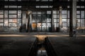 Industrial interior of an old factory Royalty Free Stock Photo