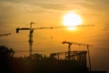 Industrial landscape with silhouettes of cranes on the sunset. Royalty Free Stock Photo