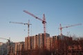 Industrial landscape at sunset. cranes build house