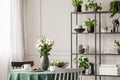 Industrial metal shelf with dishes and plants in bright dining room with round table with chairs